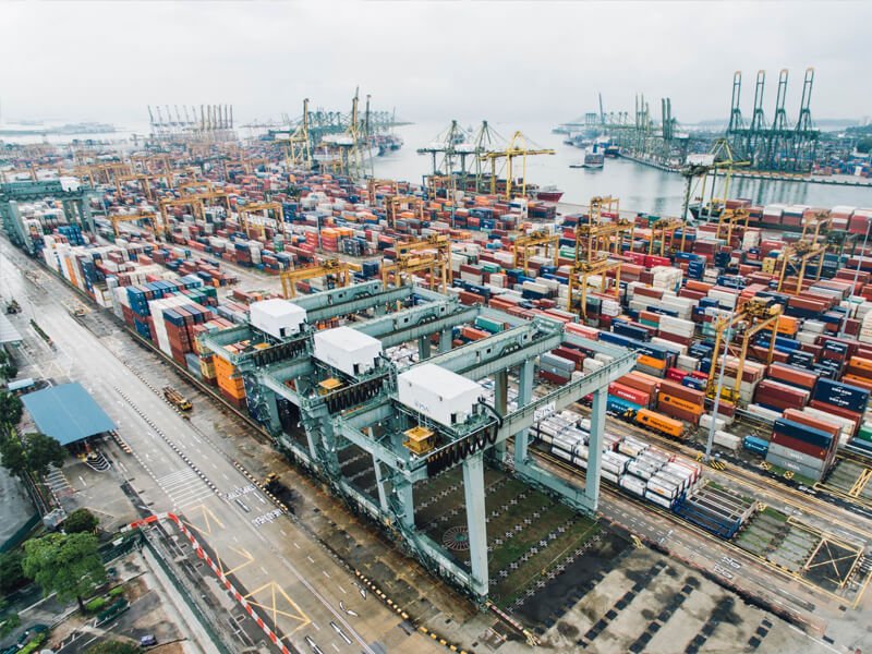 Plataformas y software